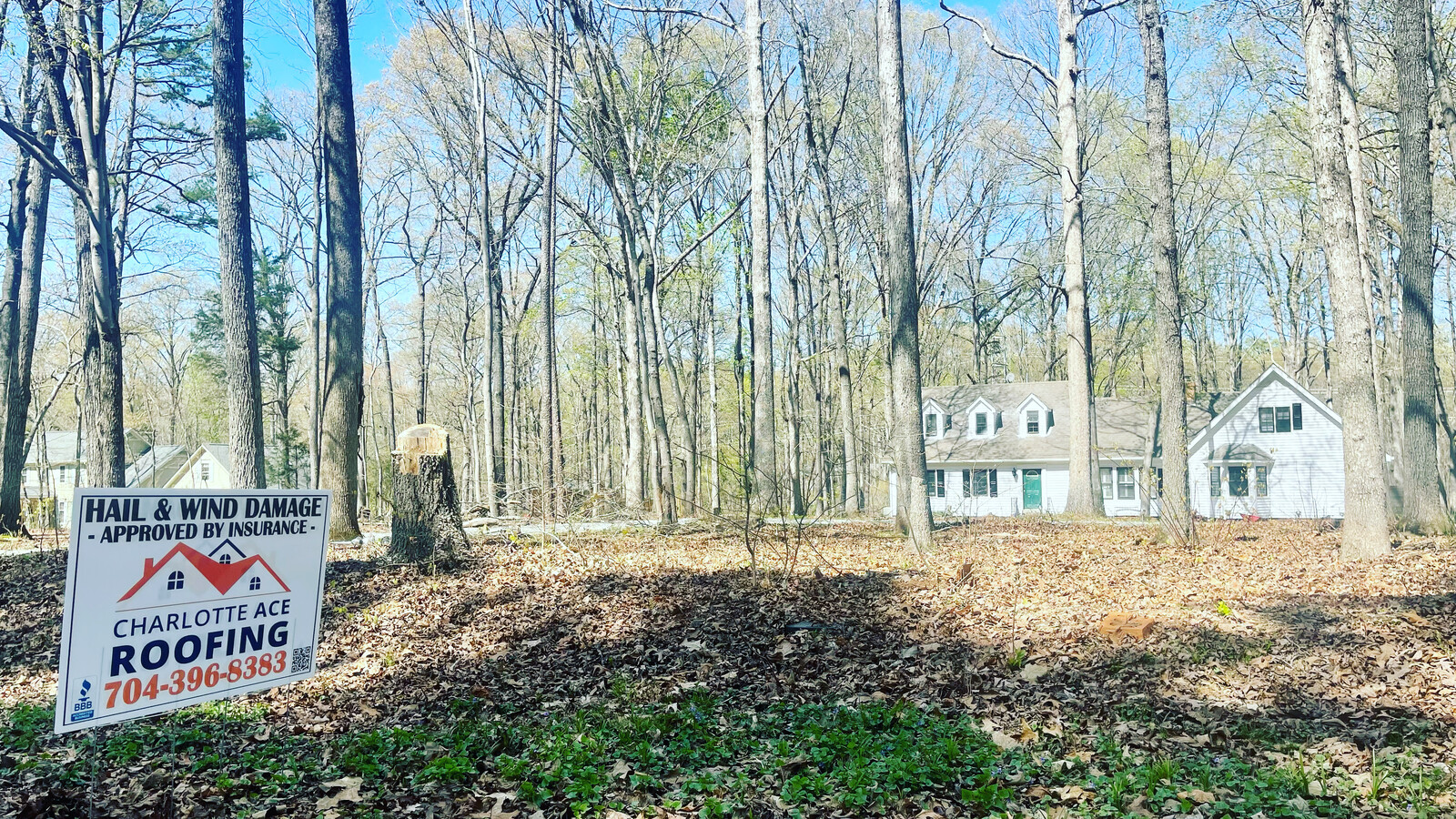 Charlotte Ace Roofing yard sign in front of a white historic-style home with deep wooded lot in the Charlotte area &mdash; 'Hail and Wind Damage Approved by Insurance'