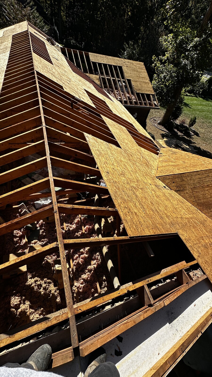 Roof deck replacement in progress on an older Charlotte home &mdash; original 1x4 spaced pine sheathing visible with new OSB plywood being installed over the historic framing for a code-compliant nailing surface